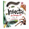 Insectos de Tamaño Real