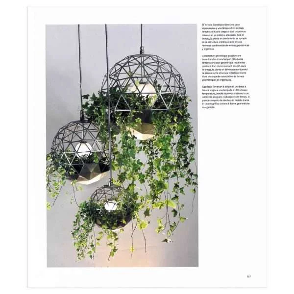 Decorar con plantas - Image 3