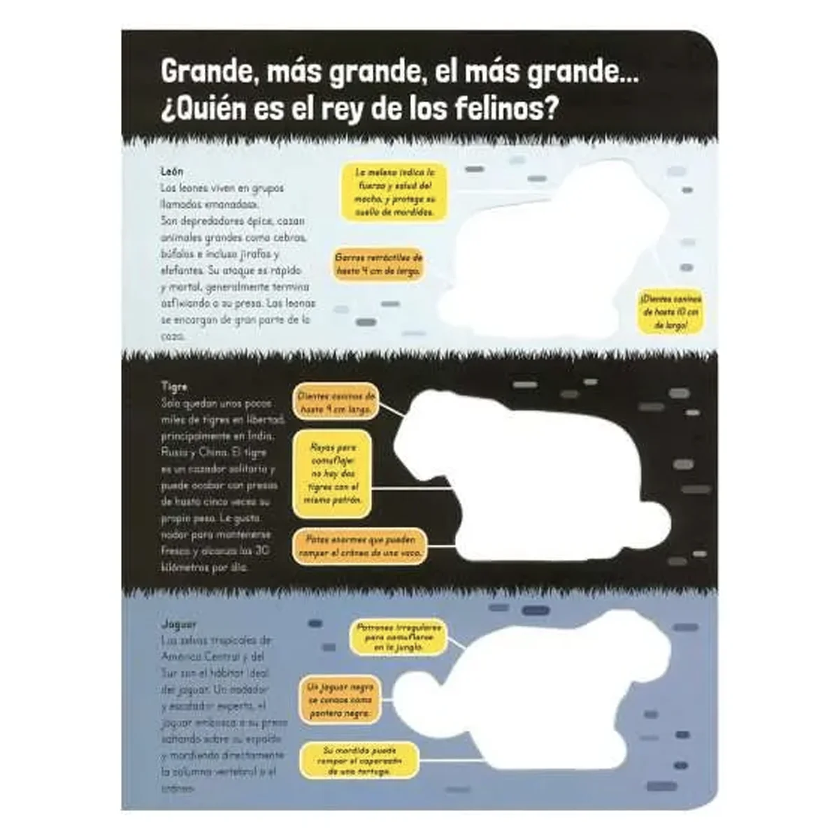 Asombrosos Mega Animales - Image 2