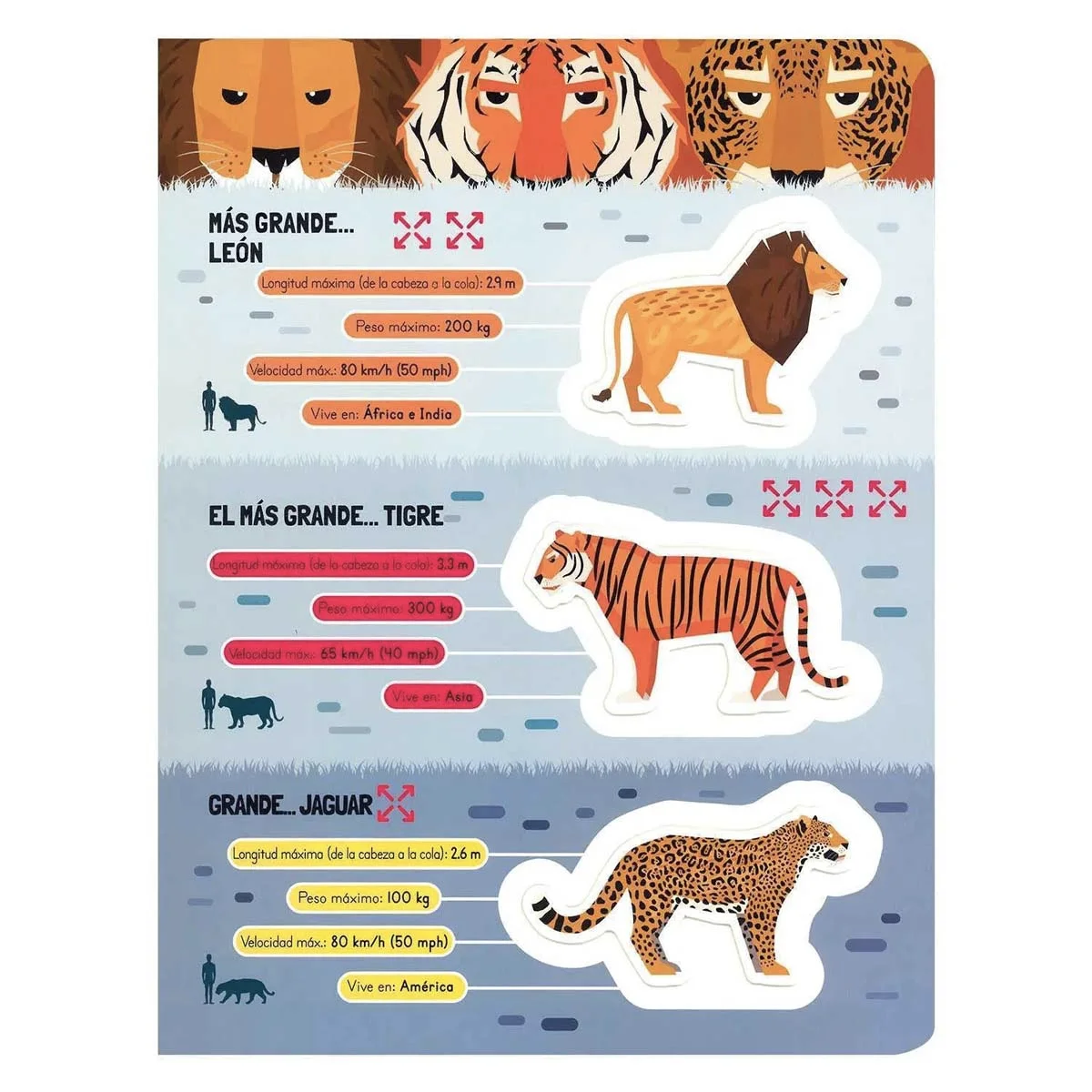 Asombrosos Mega Animales - Image 3